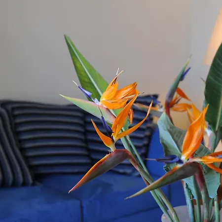 Quarte Sayal Guest house Alghero